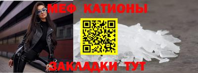 бошки Дубна